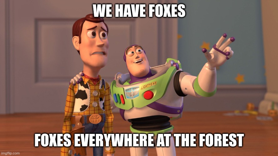 x x everywhere | WE HAVE FOXES; FOXES EVERYWHERE AT THE FOREST | image tagged in x x everywhere | made w/ Imgflip meme maker