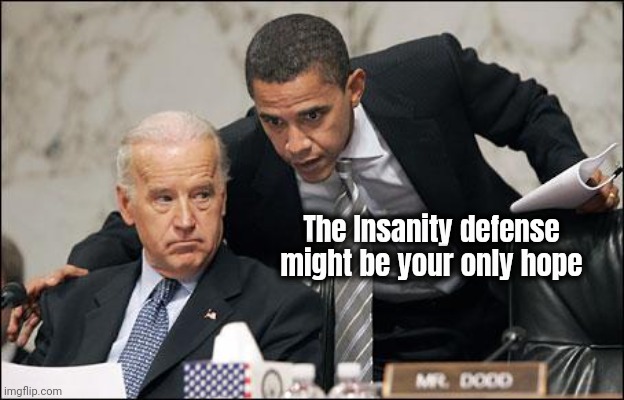 Obama coaches Biden | The Insanity defense might be your only hope | image tagged in obama coaches biden | made w/ Imgflip meme maker
