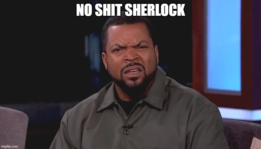 Really? Ice Cube | NO SHIT SHERLOCK | image tagged in really ice cube | made w/ Imgflip meme maker