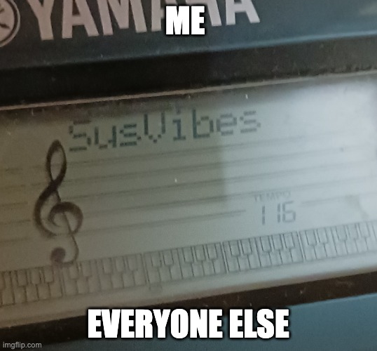 Sus Vibes | ME; EVERYONE ELSE | image tagged in sus vibes | made w/ Imgflip meme maker