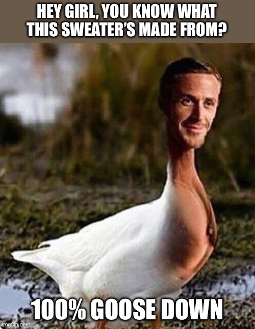 Hey Girl | HEY GIRL, YOU KNOW WHAT THIS SWEATER’S MADE FROM? 100% GOOSE DOWN | image tagged in ryan gosling hey girl,ryan gosling,down | made w/ Imgflip meme maker