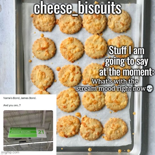 cheese_biscuits | What's with the stream mood right now💀 | image tagged in cheese_biscuits | made w/ Imgflip meme maker