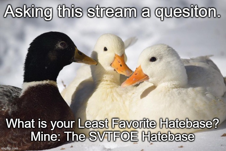 Asking This Stream #1 | Asking this stream a quesiton. What is your Least Favorite Hatebase?
Mine: The SVTFOE Hatebase | image tagged in dunkin ducks,question | made w/ Imgflip meme maker
