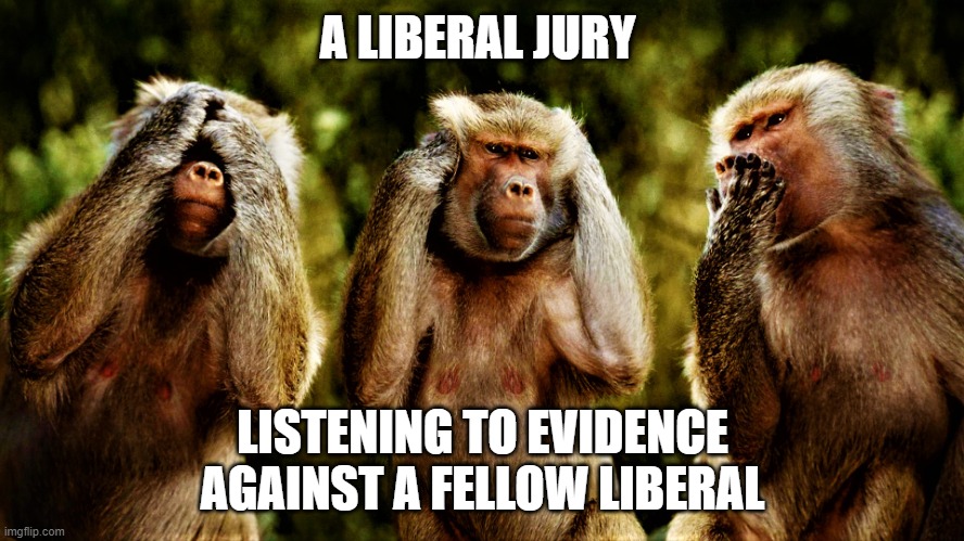 Mark Steyn vs Michael Mann | A LIBERAL JURY; LISTENING TO EVIDENCE AGAINST A FELLOW LIBERAL | image tagged in monkey version of see no evil hear no evil speak no evil | made w/ Imgflip meme maker