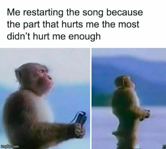 The song | image tagged in songs,song,reposts,repost,memes,music | made w/ Imgflip meme maker