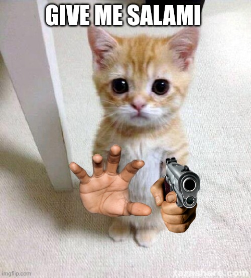 Cute Cat | GIVE ME SALAMI | image tagged in memes,cute cat | made w/ Imgflip meme maker