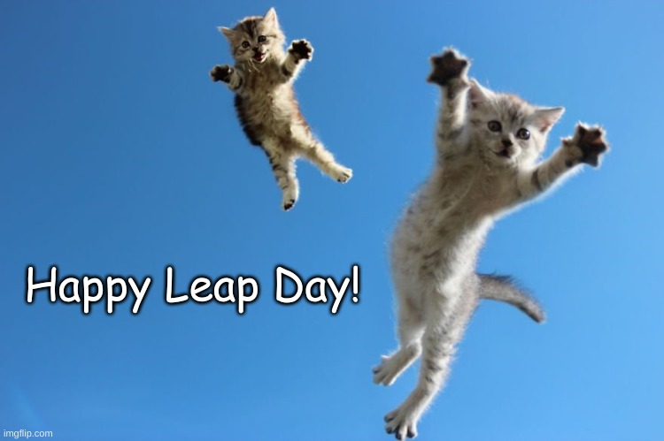 Happy Leap Day | Happy Leap Day! | image tagged in funny cats | made w/ Imgflip meme maker