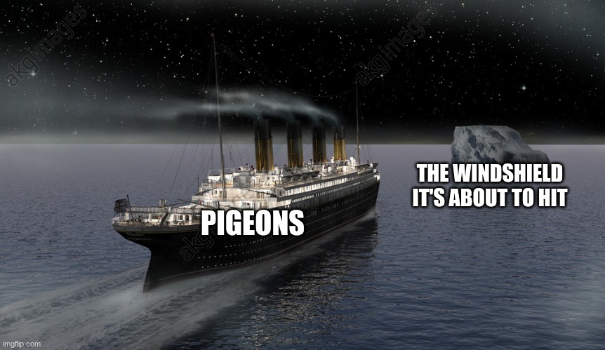 look out for that windshield!!! | THE WINDSHIELD IT'S ABOUT TO HIT; PIGEONS | image tagged in titanic approaching the iceberg,jpfan102504 | made w/ Imgflip meme maker