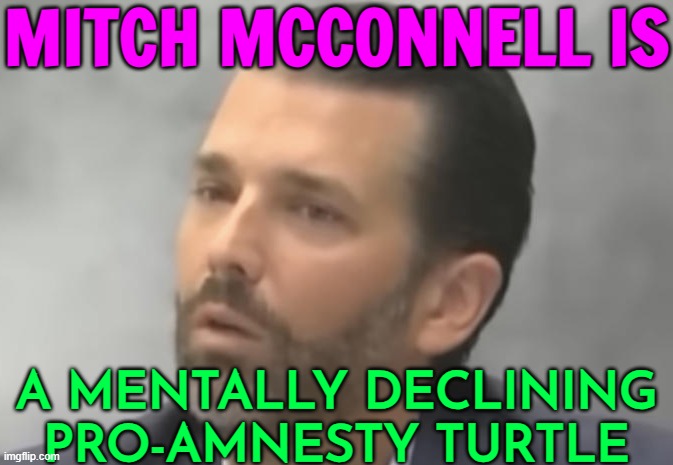 Don Jr. Blasts McConnell as ‘Mentally Declining Pro-Amnesty Turtle’ | MITCH MCCONNELL IS; A MENTALLY DECLINING
PRO-AMNESTY TURTLE | image tagged in don jr,donald trump approves,illegal immigration,scumbag government,us government,mitch mcconnell | made w/ Imgflip meme maker