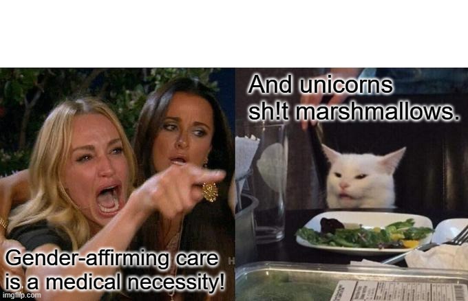Woman Yelling At Cat Meme | And unicorns sh!t marshmallows. Gender-affirming care is a medical necessity! | image tagged in memes,woman yelling at cat | made w/ Imgflip meme maker