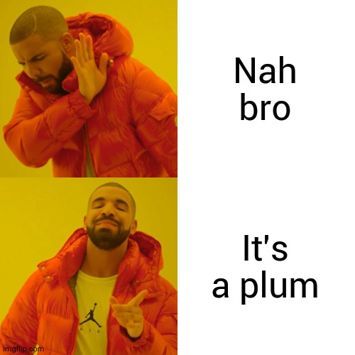 Drake Hotline Bling Meme | Nah bro It's a plum | image tagged in memes,drake hotline bling | made w/ Imgflip meme maker