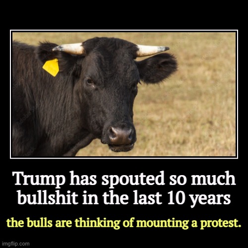 Trump has spouted so much bullshit in the last 10 years | the bulls are thinking of mounting a protest. | image tagged in funny,demotivationals,trump,bullshit,bulls,protest | made w/ Imgflip demotivational maker