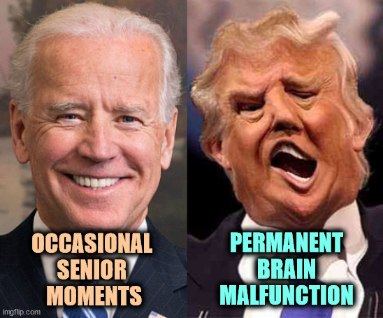 Don't fool yourself. Trump was always crazy and now he's even more so. | PERMANENT
BRAIN
MALFUNCTION; OCCASIONAL 
SENIOR 
MOMENTS | image tagged in biden solid stable trump acid drugs,biden,senior,trump,donald trump small brain,brain | made w/ Imgflip meme maker