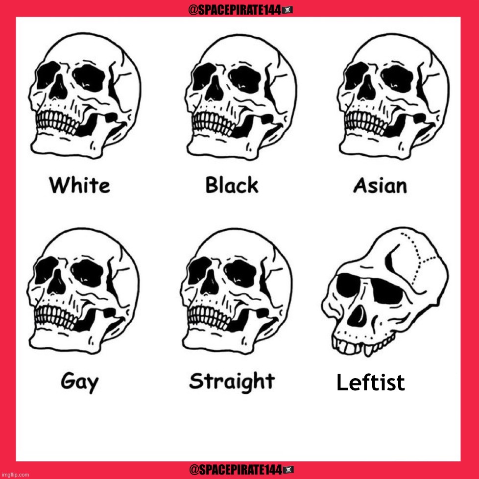 Skull of a Leftist | Leftist | image tagged in skulls,leftist,liberal,democrat,leftwing,woke | made w/ Imgflip meme maker