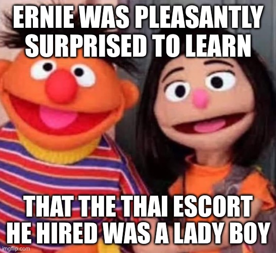 Dude looks like a | ERNIE WAS PLEASANTLY SURPRISED TO LEARN; THAT THE THAI ESCORT HE HIRED WAS A LADY BOY | image tagged in lady,ernie,hooker | made w/ Imgflip meme maker