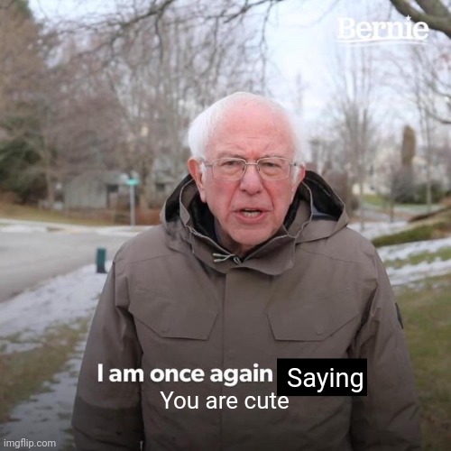 Bernie I Am Once Again Asking For Your Support Meme | Saying You are cute | image tagged in memes,bernie i am once again asking for your support | made w/ Imgflip meme maker