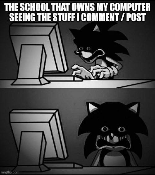 I can access it on my phone and other computer | THE SCHOOL THAT OWNS MY COMPUTER SEEING THE STUFF I COMMENT / POST | image tagged in sonic computer | made w/ Imgflip meme maker