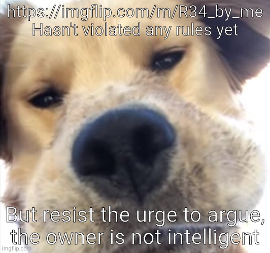"How is he not intelligent?" He doesn't believe the US is a superpower | https://imgflip.com/m/R34_by_me
Hasn't violated any rules yet; But resist the urge to argue, the owner is not intelligent | image tagged in doggo bruh | made w/ Imgflip meme maker