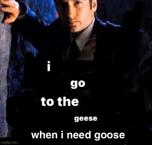 Goose | when i need goose | image tagged in goose | made w/ Imgflip meme maker