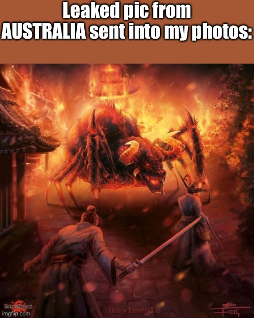Badass spider thing | Leaked pic from AUSTRALIA sent into my photos: | image tagged in badass spider thing | made w/ Imgflip meme maker