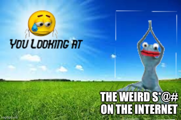 You looking at | THE WEIRD S*@# ON THE INTERNET | image tagged in you looking at | made w/ Imgflip meme maker