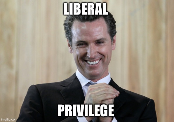 Scheming Gavin Newsom  | LIBERAL PRIVILEGE | image tagged in scheming gavin newsom | made w/ Imgflip meme maker