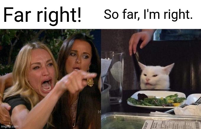 Right so far | Far right! So far, I'm right. | image tagged in memes,woman yelling at cat | made w/ Imgflip meme maker