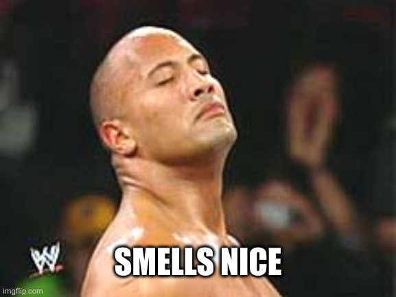 The Rock Smelling | SMELLS NICE | image tagged in the rock smelling | made w/ Imgflip meme maker