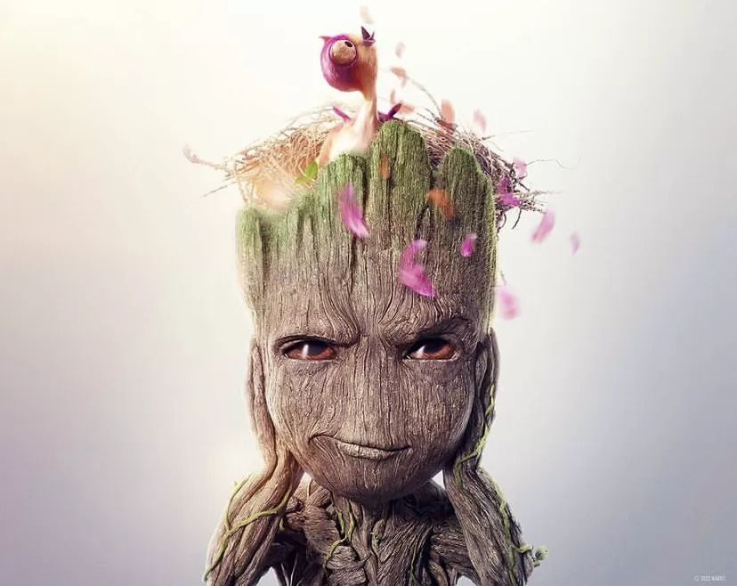 groot Blank Meme Template
