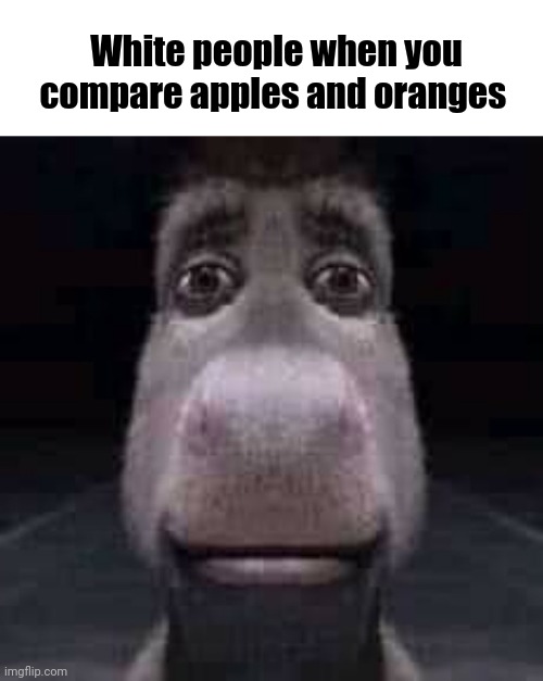 Donkey staring | White people when you compare apples and oranges | image tagged in donkey staring | made w/ Imgflip meme maker