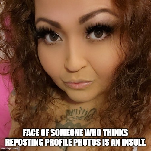 Profile reposter | FACE OF SOMEONE WHO THINKS REPOSTING PROFILE PHOTOS IS AN INSULT. | image tagged in profile picture | made w/ Imgflip meme maker