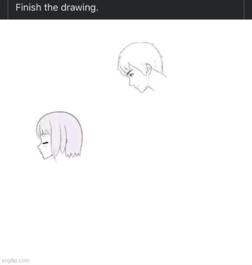 finish the drawing | image tagged in finish the drawing | made w/ Imgflip meme maker