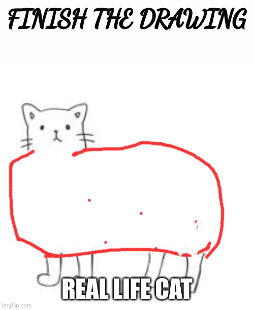 finish the drawing | REAL LIFE CAT | image tagged in finish the drawing | made w/ Imgflip meme maker