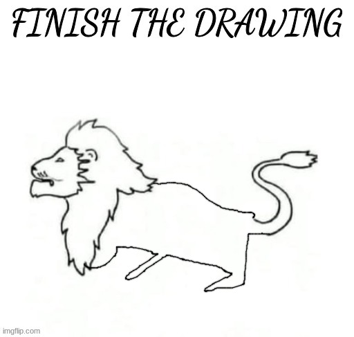 finish the drawing | image tagged in finish the drawing | made w/ Imgflip meme maker