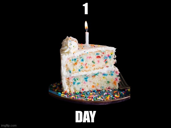 bday countdown 3 | 1; DAY | image tagged in 14 | made w/ Imgflip meme maker