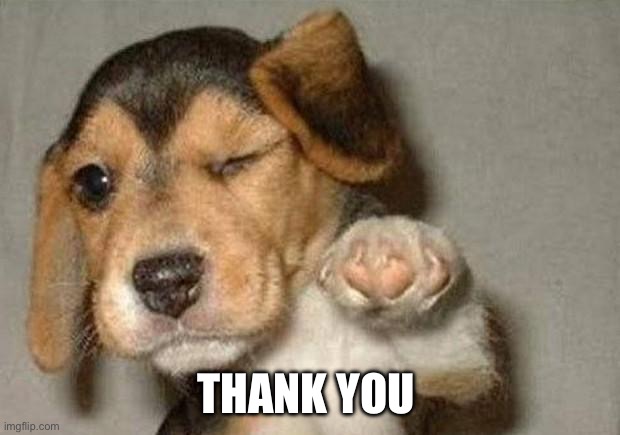 Winking Dog | THANK YOU | image tagged in winking dog | made w/ Imgflip meme maker