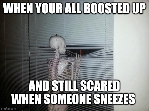 Safe and effective | WHEN YOUR ALL BOOSTED UP; AND STILL SCARED WHEN SOMEONE SNEEZES | image tagged in skeleton looking out window,covid-19,vaccines | made w/ Imgflip meme maker