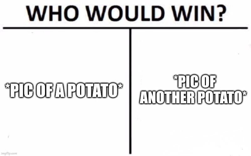 bland meme | *PIC OF ANOTHER POTATO*; *PIC OF A POTATO* | image tagged in memes,who would win,potato,bland | made w/ Imgflip meme maker