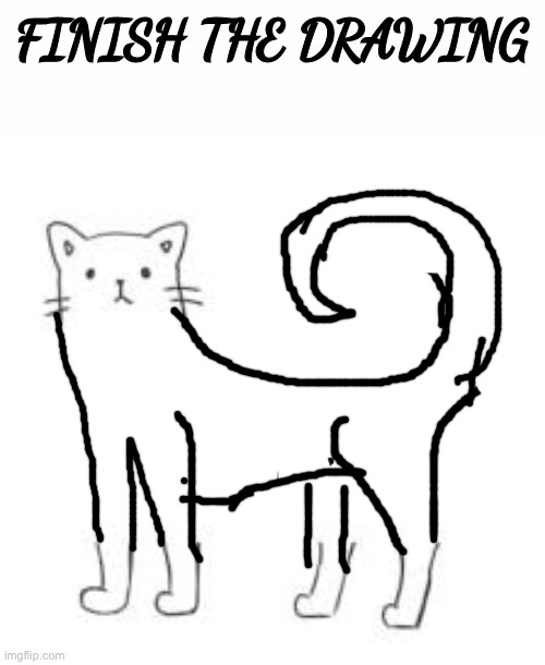 finish the drawing | image tagged in finish the drawing | made w/ Imgflip meme maker