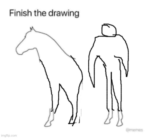 Finish the drawing | image tagged in finish the drawing | made w/ Imgflip meme maker