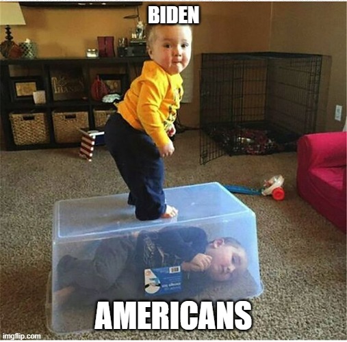 Biden | BIDEN; AMERICANS | image tagged in kid on box with kid,biden | made w/ Imgflip meme maker