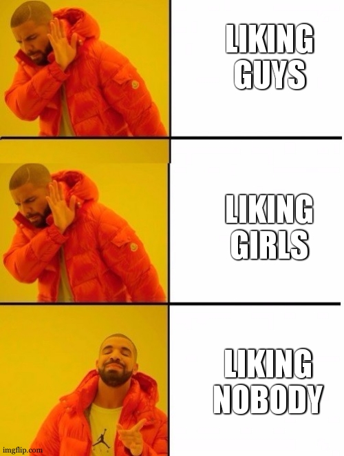 Drake 3 panels | LIKING GUYS LIKING GIRLS LIKING NOBODY | image tagged in drake 3 panels | made w/ Imgflip meme maker