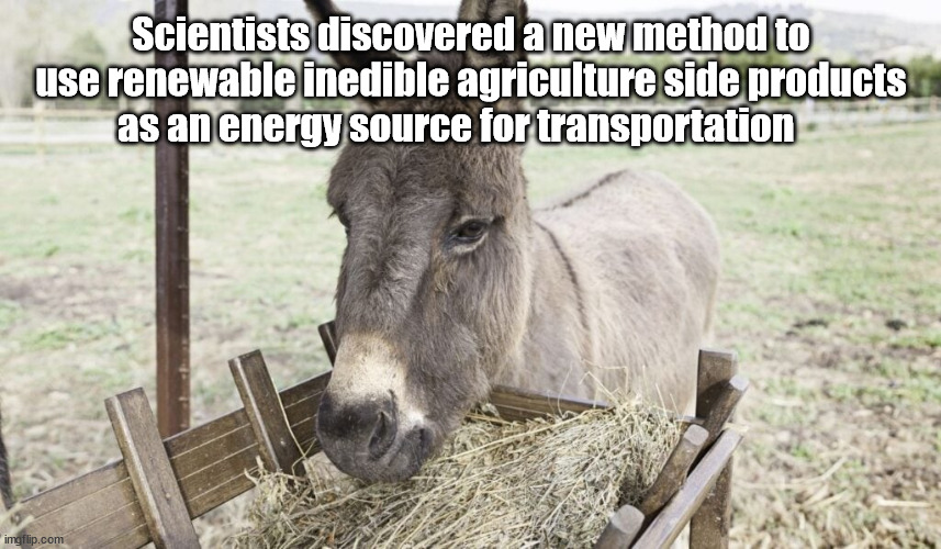 innovation | Scientists discovered a new method to use renewable inedible agriculture side products
as an energy source for transportation | image tagged in memes,funny,donkey,science,innovation | made w/ Imgflip meme maker