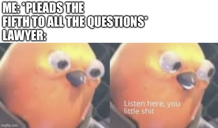 ME: *PLEADS THE FIFTH TO ALL THE QUESTIONS*
LAWYER: | image tagged in am i a joke to u,listen here you little shit bird | made w/ Imgflip meme maker