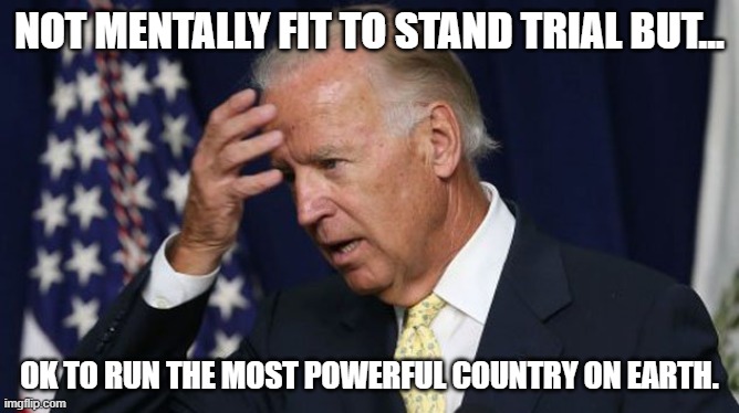 Joe Biden worries | NOT MENTALLY FIT TO STAND TRIAL BUT... OK TO RUN THE MOST POWERFUL COUNTRY ON EARTH. | image tagged in joe biden worries,stupid people,nuts | made w/ Imgflip meme maker