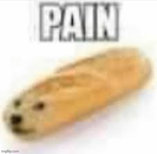 image tagged in pain bread | made w/ Imgflip meme maker