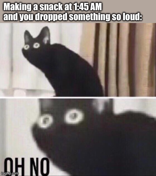Making snack middle of the night | Making a snack at 1:45 AM and you dropped something so loud: | image tagged in oh no cat | made w/ Imgflip meme maker