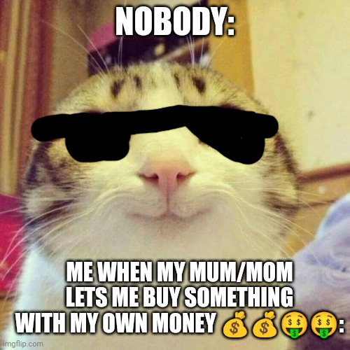 ? | NOBODY:; ME WHEN MY MUM/MOM LETS ME BUY SOMETHING WITH MY OWN MONEY 💰💰🤑🤑: | image tagged in memes,smiling cat | made w/ Imgflip meme maker