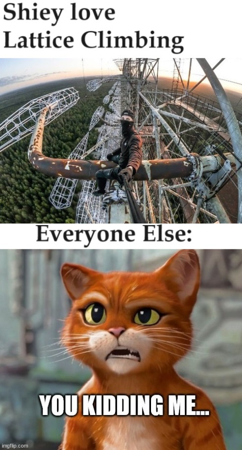 Shiey goes to lattice climbing | image tagged in shiey,meme,lattice climbing,daredevil,puss in boots,gato | made w/ Imgflip meme maker