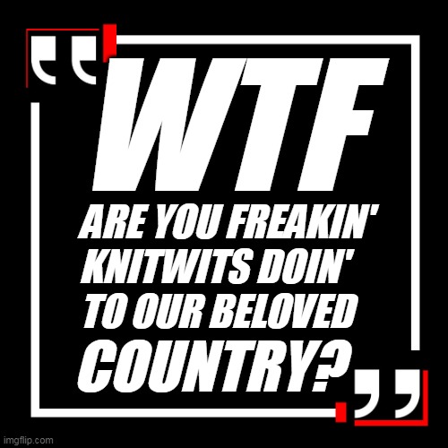 SQUARE QUOTE BOX | WTF; ARE YOU FREAKIN' 
KNITWITS DOIN'
TO OUR BELOVED; COUNTRY? | image tagged in quote,box | made w/ Imgflip meme maker